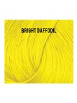 Directions 19 Bright Daffodil
