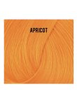 Directions 32 Apricot 100ml